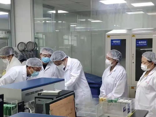 食品生产安全监管的重要性与衡水实践