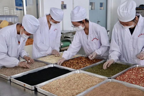 食品药品学院月饼生产实训圆满结束，学生实践能力显著提升