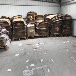 工厂废料与水产品收购 资源循环与经济效益的双赢